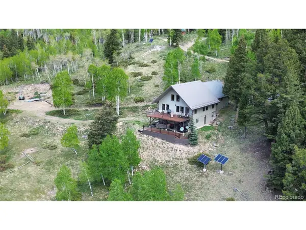 1113 Spring St, Jasper, CO 81144