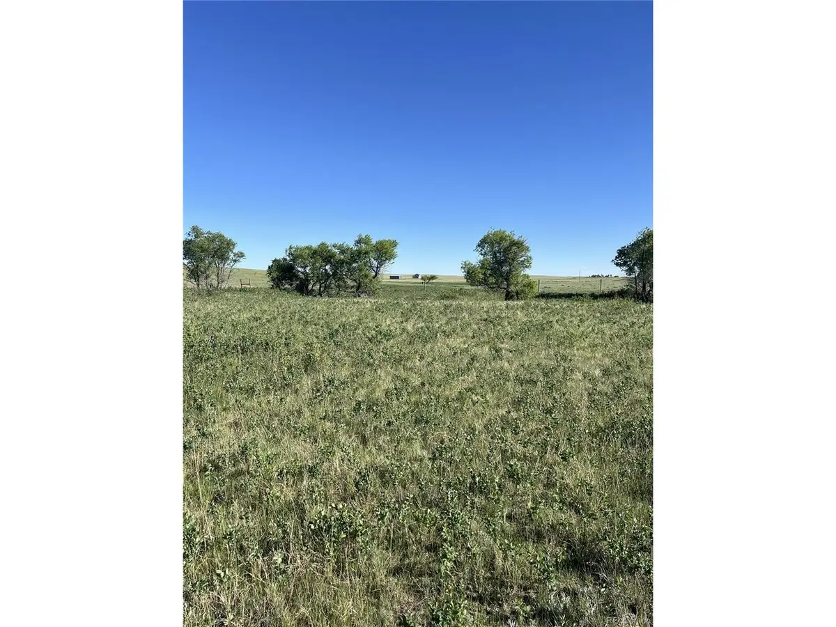 27933 Private Road 139, Simla, CO 80835 - #1