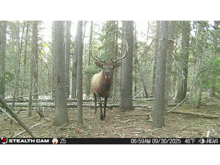 3427 Grojean Dr, Fort Garland, CO 81133 - #2