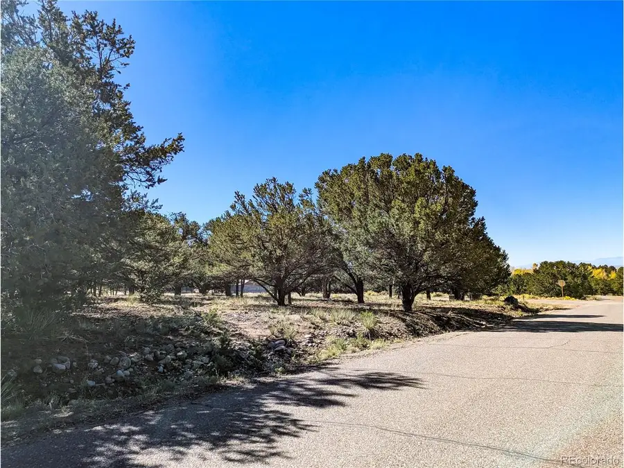 112 Baca Grant Way, Crestone, CO 81131 - #3