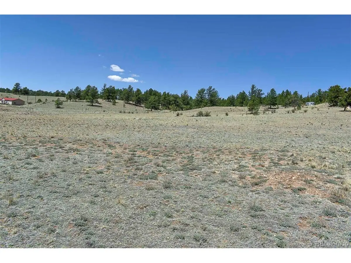 1999 Arapaho Trl, Hartsel, CO 80449 - #1