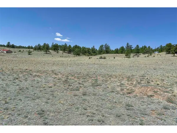 1999 Arapaho Trl, Hartsel, CO 80449