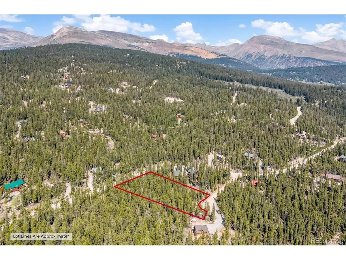 914 Bobcat Ln, Fairplay, CO 80440 - #1