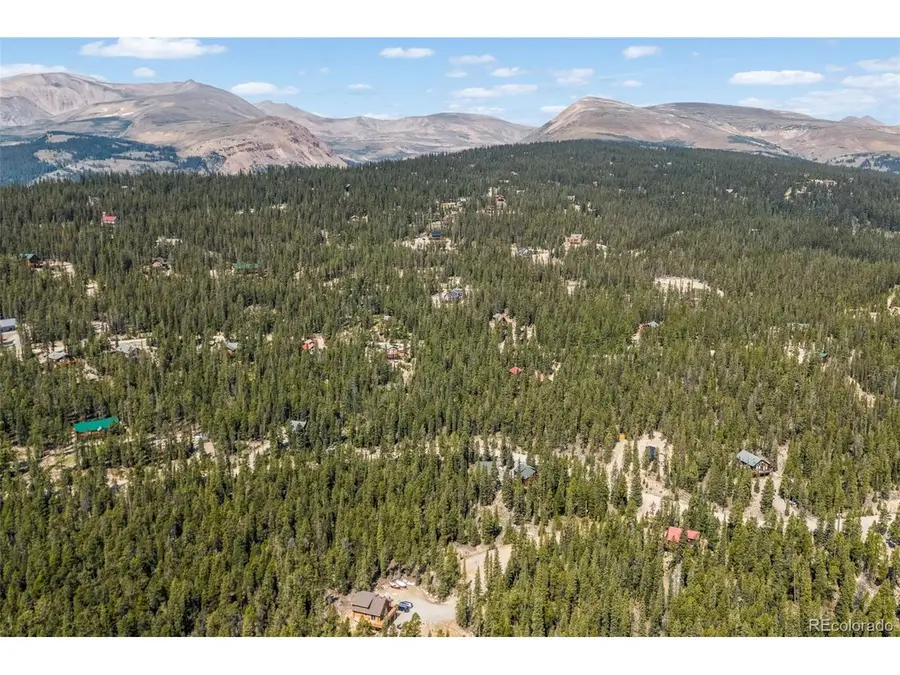 914 Bobcat Ln, Fairplay, CO 80440 - #2