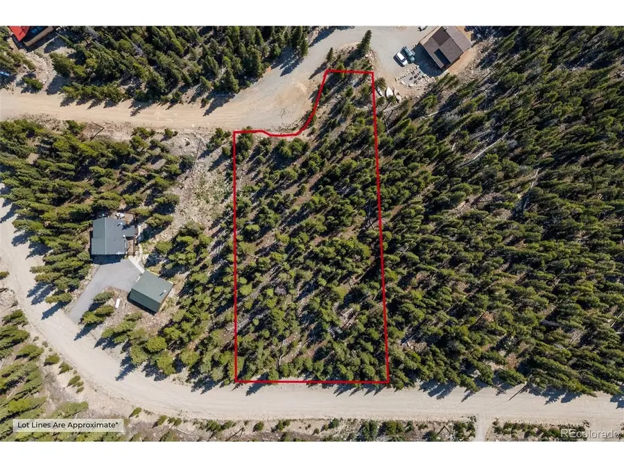 914 Bobcat Ln, Fairplay, CO 80440 - #3