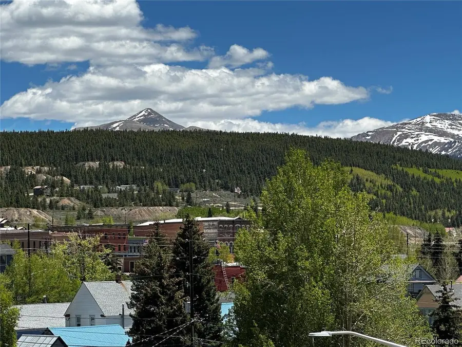 304 W 7th St, Leadville, CO 80461 - #3