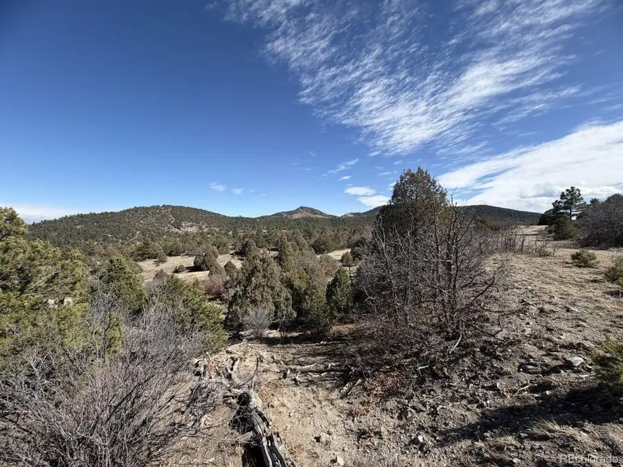 91 King Pl, Cotopaxi, CO 81223 - #2