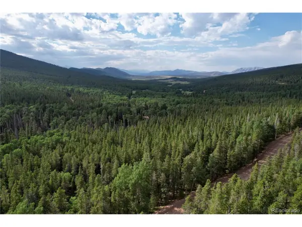 3375 Purnell Ln, Fort Garland, CO 81133