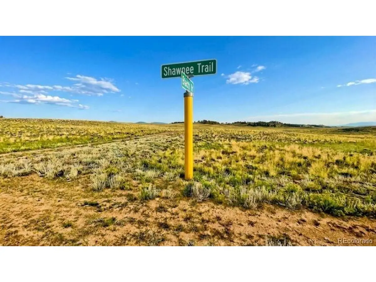 10341 Caddo Rd, Hartsel, CO 80449 - #1