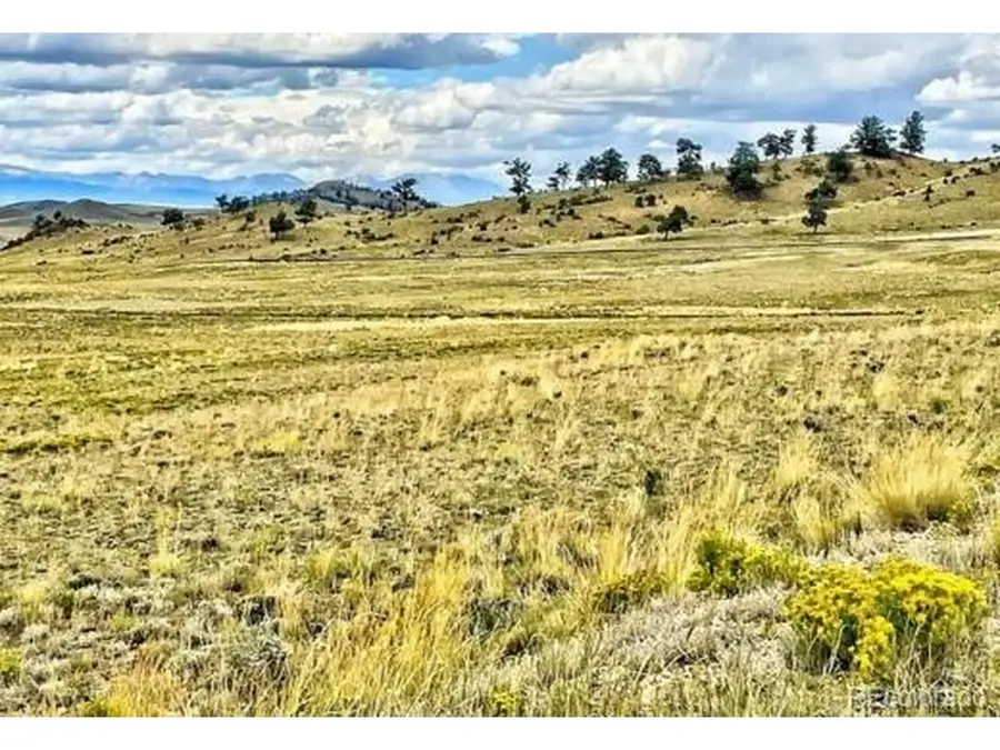 10341 Caddo Rd, Hartsel, CO 80449 - #2