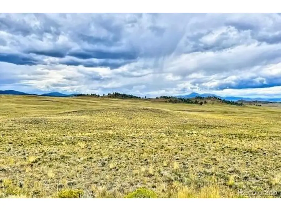 10341 Caddo Rd, Hartsel, CO 80449 - #3