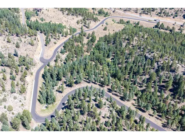 14850 Quandary Peak Rd, Pine, CO 80470