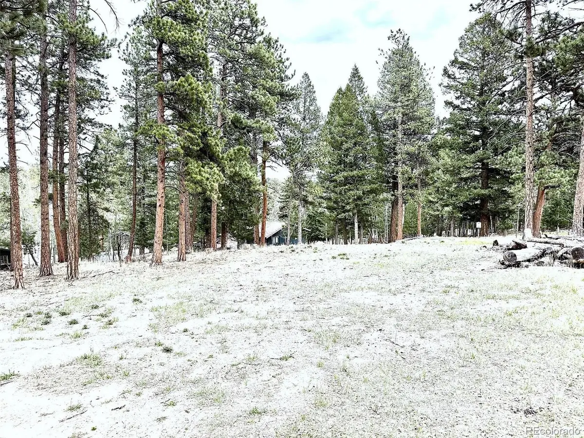 252 Beaver Trl, Bailey, CO 80421 - #1