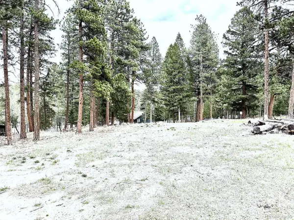 252 Beaver Trl, Bailey, CO 80421
