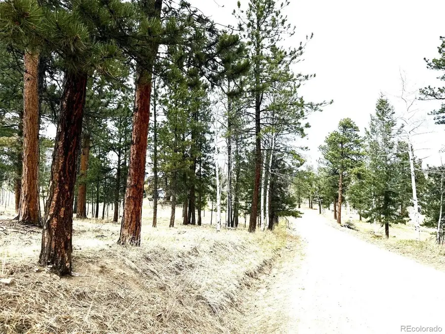 252 Beaver Trl, Bailey, CO 80421 - #2