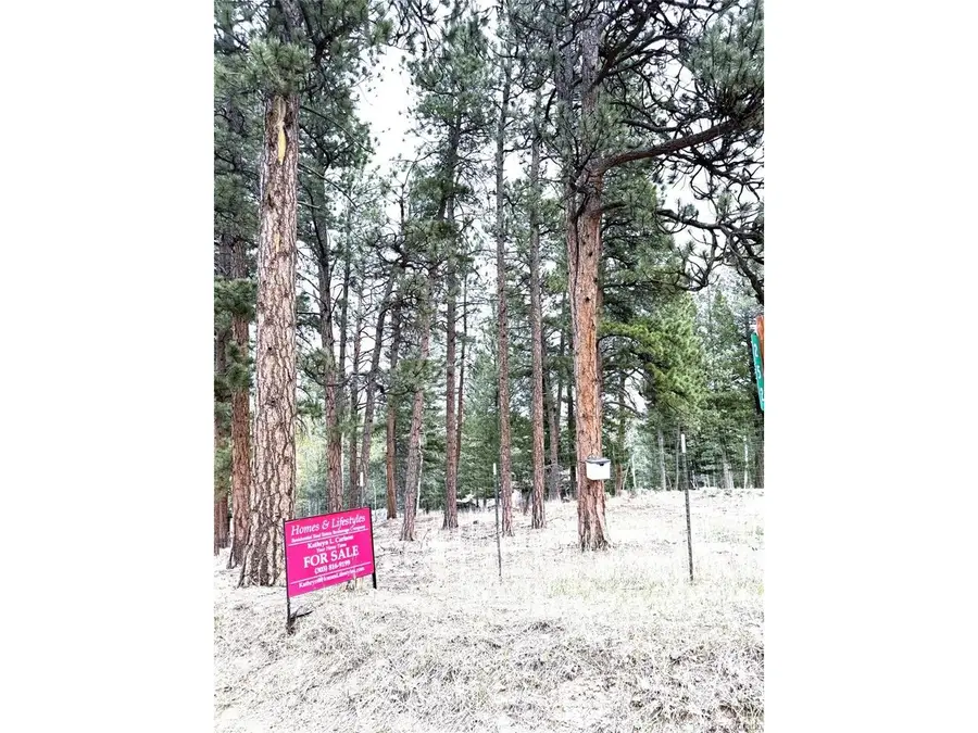 252 Beaver Trl, Bailey, CO 80421 - #3