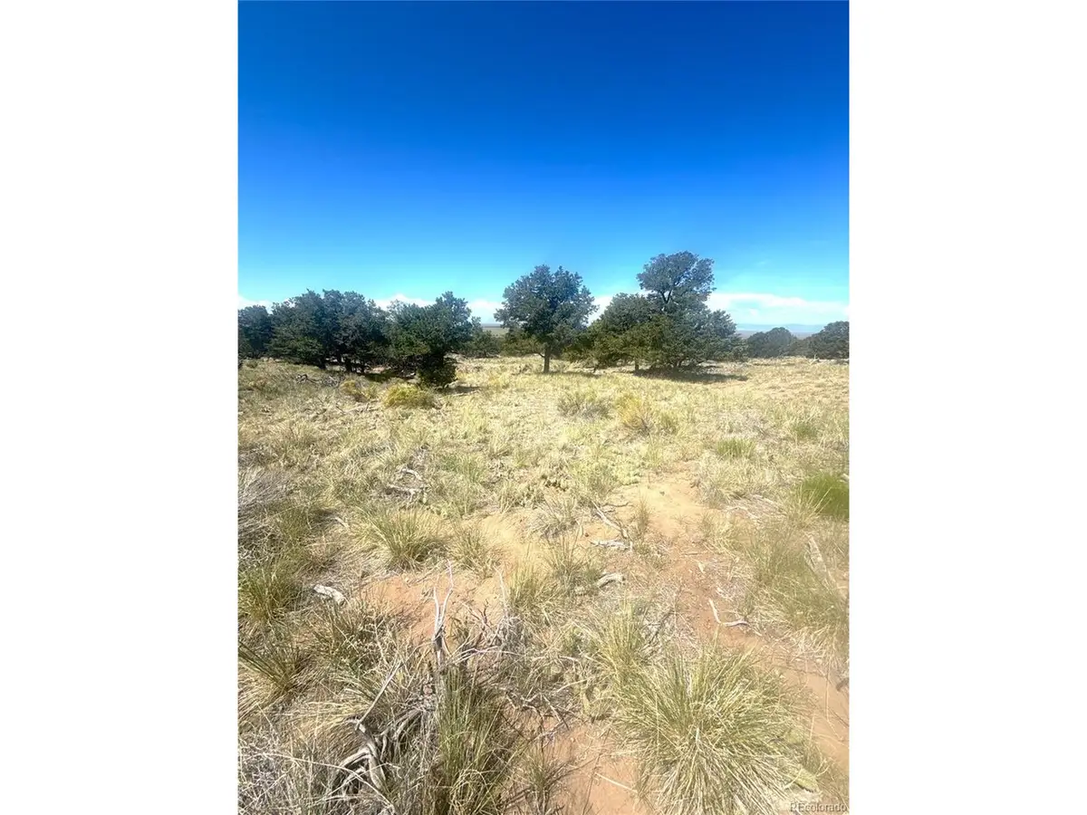 4469 Greenview Ct, Crestone, CO 81131 - #1