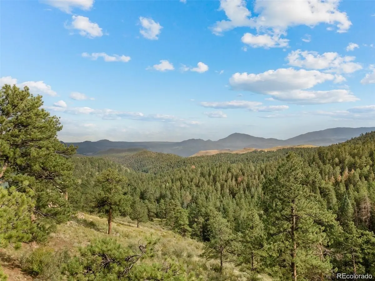 13817 Gordon Ct, Pine, CO 80470 - #1