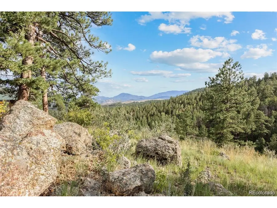 13817 Gordon Ct, Pine, CO 80470 - #3