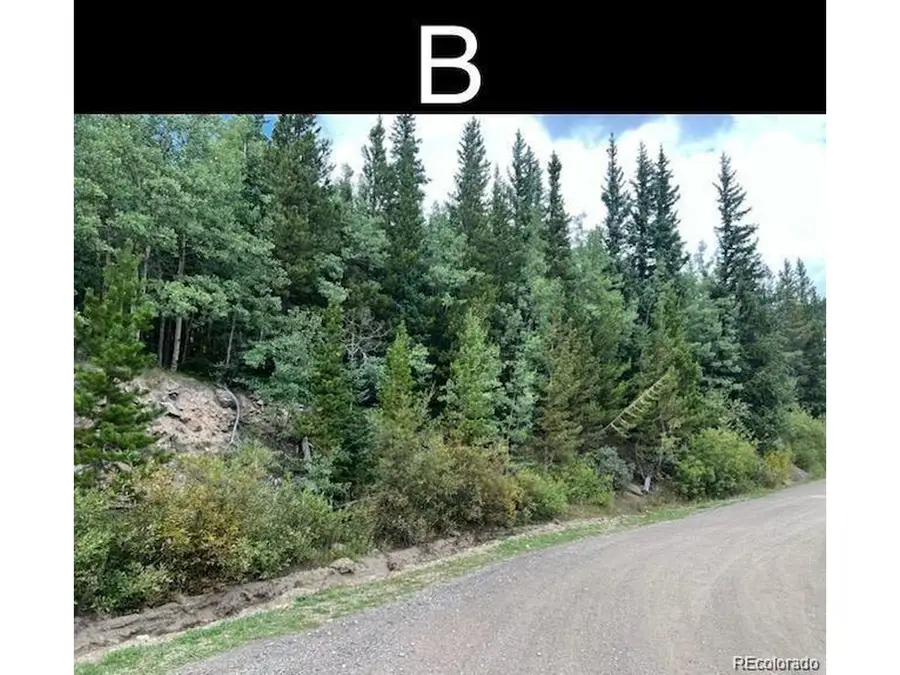 0 Nebraska Dr, Idaho Springs, CO 80452 - #3