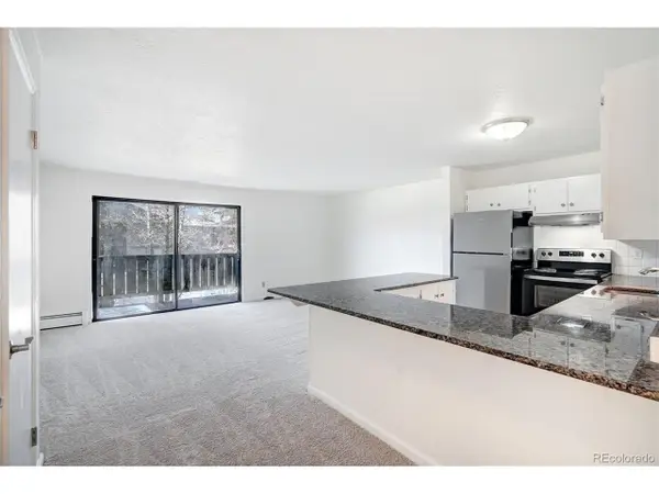893 Straight Creek Dr #203, Dillon, CO 80435