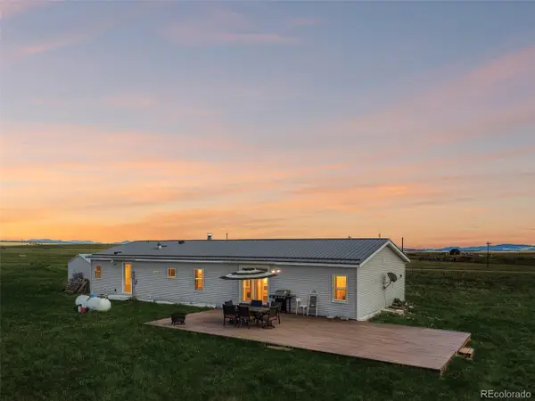 265 Trout Rd, Fairplay, CO 80440