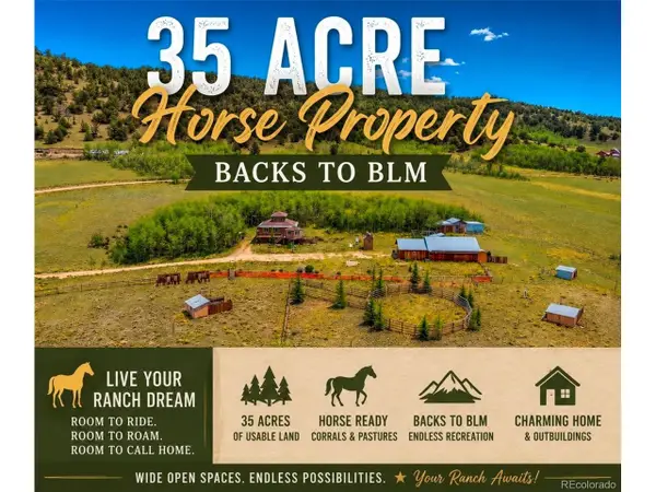 474 Gap Rd, Fairplay, CO 80440