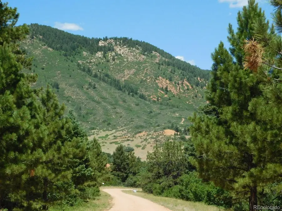 6447 Thunderbird Rd, Larkspur, CO 80118 - #2