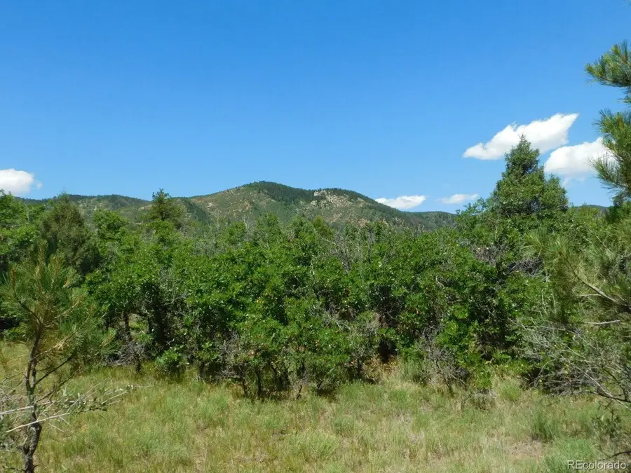 6447 Thunderbird Rd, Larkspur, CO 80118 - #3