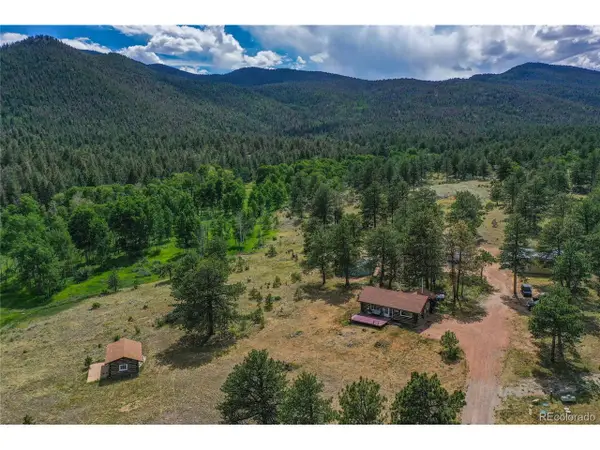 1410 County Road 90, Lake George, CO 80827