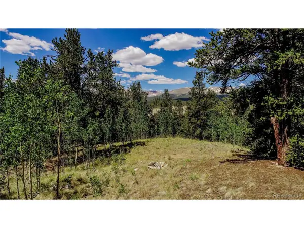 308 Quarry Rd, Fairplay, CO 80440