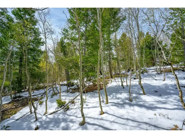 192 Deadwood Rd, Cripple Creek, CO 80813