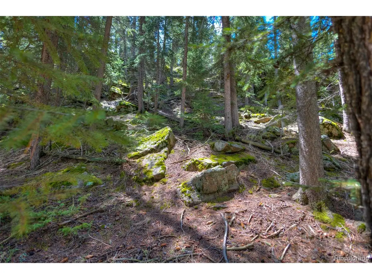 8116 S Brook Forest Rd, Evergreen, CO 80439 - Image #1