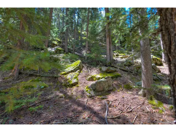 8116 S Brook Forest Rd, Evergreen, CO 80439