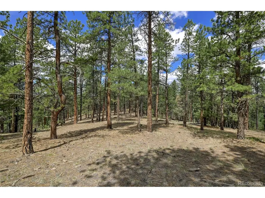 293 Badger Trl, Florissant, CO 80816 - #3