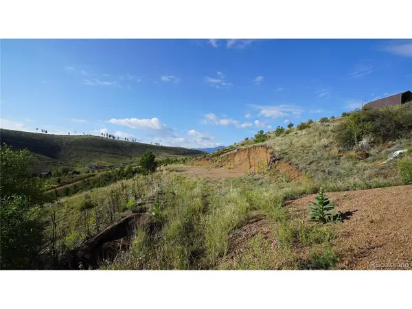 15831 S Sioux Rd, Pine, CO 80470