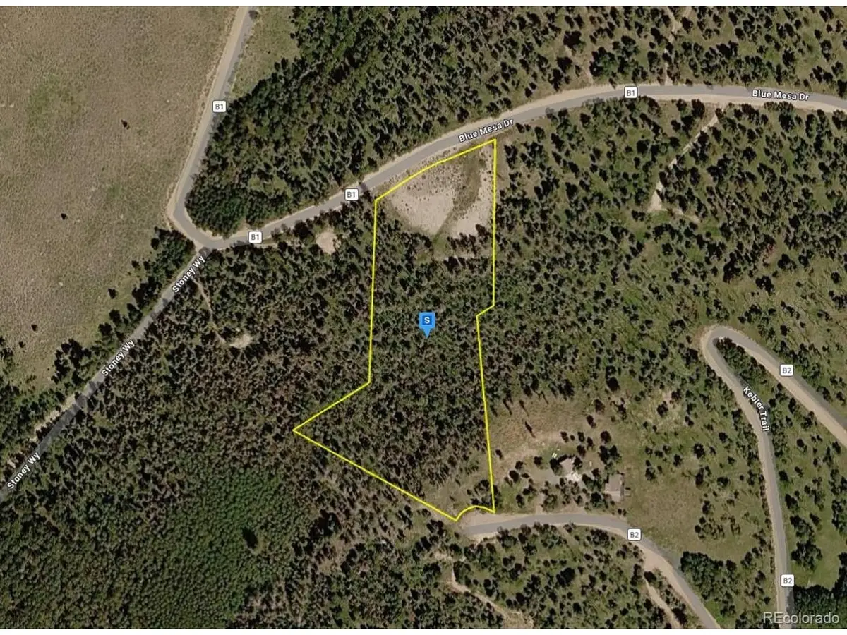 1015 Kebler Trl, Powderhorn, CO 81243 - #1