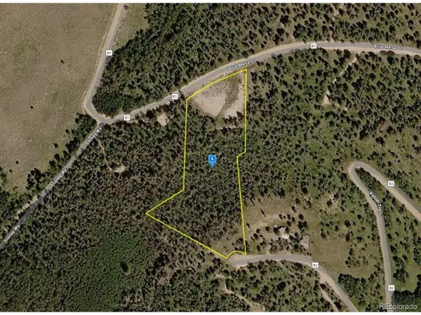 1015 Kebler Trl, Powderhorn, CO 81243