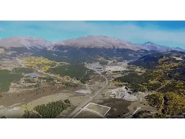 64 Glissade Trl, Alma, CO 80420