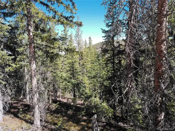 Address Withheld By Seller, Fort Garland, CO 81133