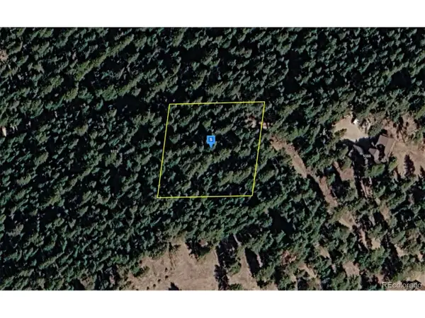 9380 Yegge Rd, Morrison, CO 80465