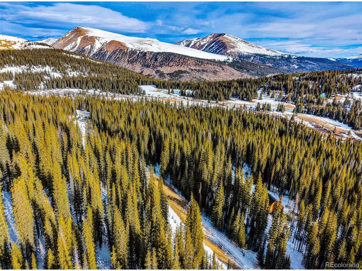 345 Bum Dr, Fairplay, CO 80440 - #1