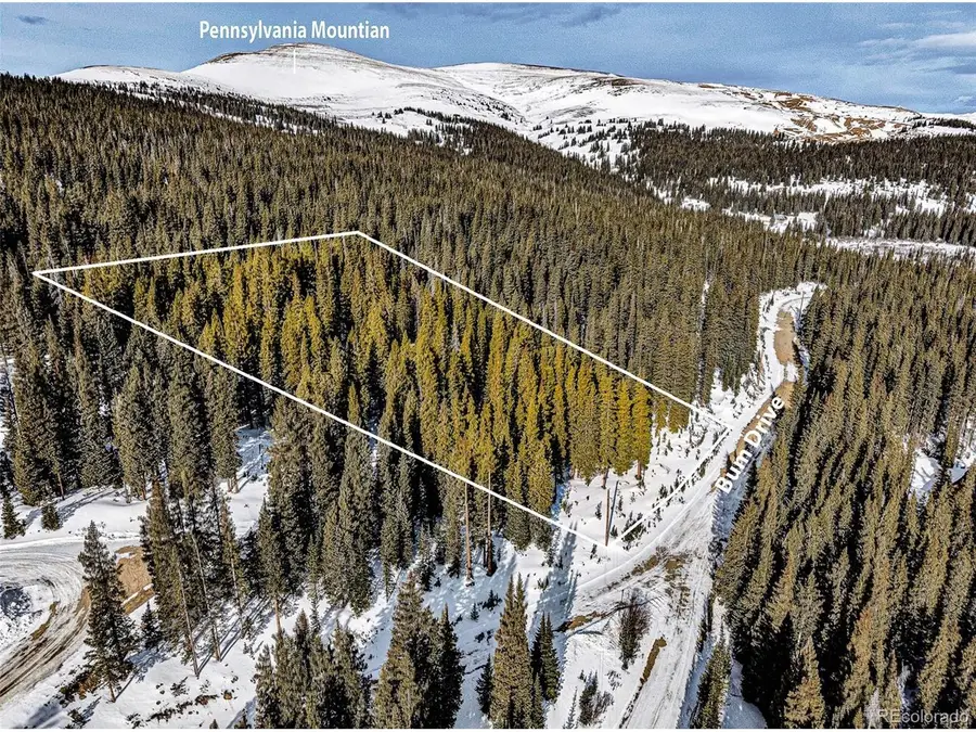 345 Bum Dr, Fairplay, CO 80440 - #2