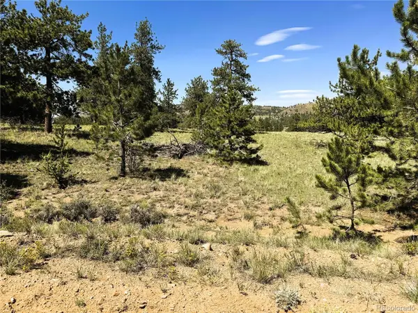 127 Boulder Rd, Hartsel, CO 80449