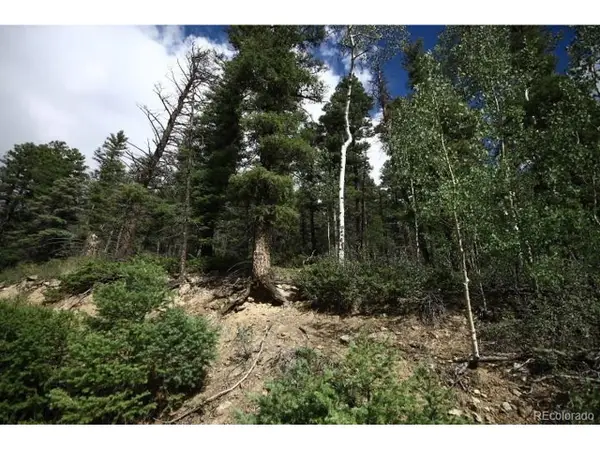 6078 Vreeland Rd, San Luis, CO 81152