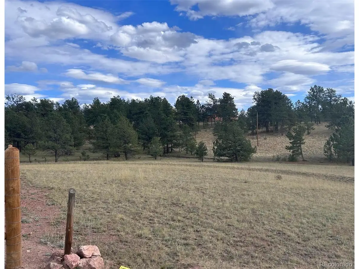 382 Arrowhead Dr, Florissant, CO 80816 - #1