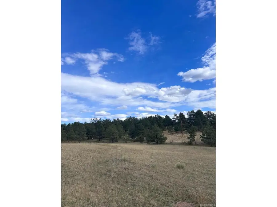 382 Arrowhead Dr, Florissant, CO 80816 - #2