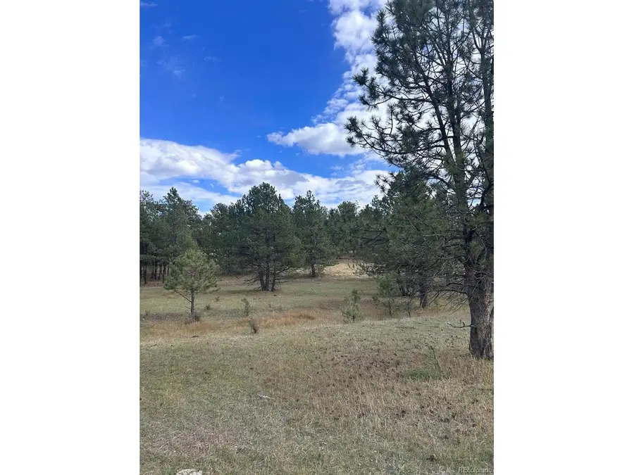382 Arrowhead Dr, Florissant, CO 80816 - #3