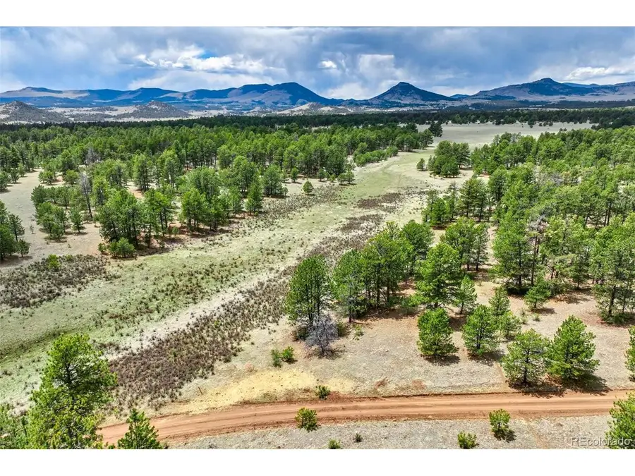 103 Doe Valley Rd, Guffey, CO 80820 - #2