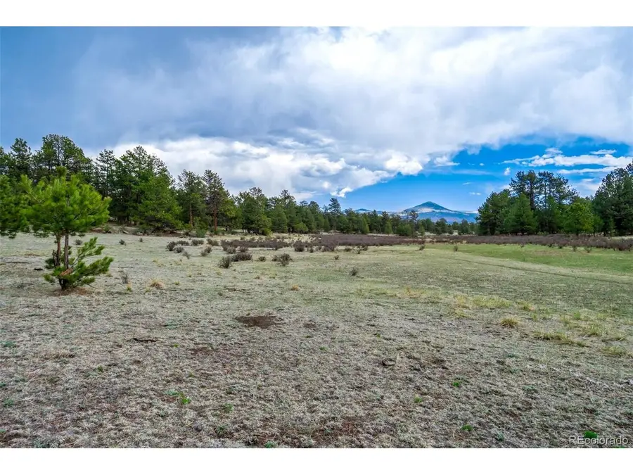 103 Doe Valley Rd, Guffey, CO 80820 - #3